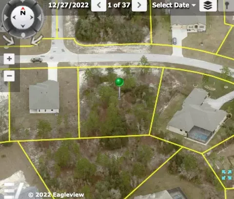 Pantera, Weeki Wachee, FL 34613