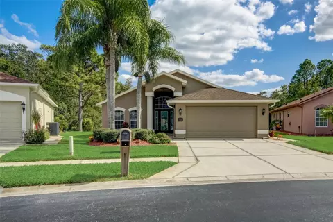 11619 Tee Time Cir, New Port Richey, FL 34654