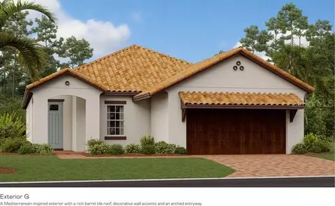 17213 Sparrow Case St, Wimauma, FL 33598