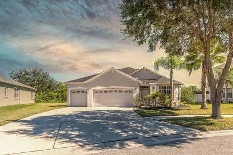 11412 Callaway Pond Dr, Riverview, FL 33579