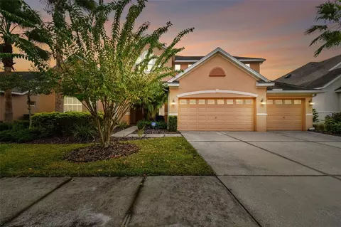 10507 Mistflower Ln, Tampa, FL 33647