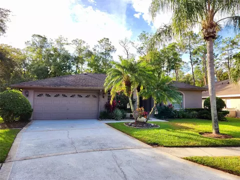 2404 Saddlewood Ln, Palm Harbor, FL 34685