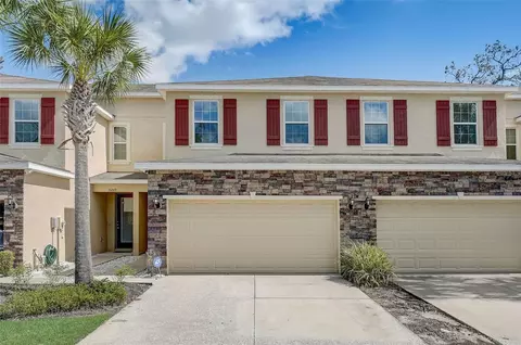 13207 Canopy Creek Dr, Tampa, FL 33625