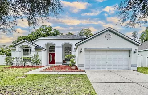 13717 Antler Point Dr, Tampa, FL 33626
