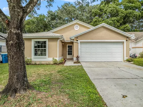 1736 Brandon Trace Ave, Brandon, FL 33510