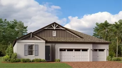 22038 Tucana Way, Land O Lakes, FL 34637