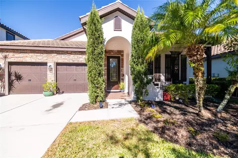 20348 Chestnut Grove Dr, Tampa, FL 33647