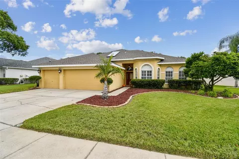 4207 Whittner Dr, Land O Lakes, FL 34639