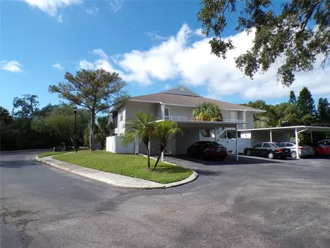 8350 Savannah Trace Cir #1703, Tampa, FL 33615
