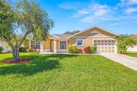 10210 Moshie Ln, San Antonio, FL 33576