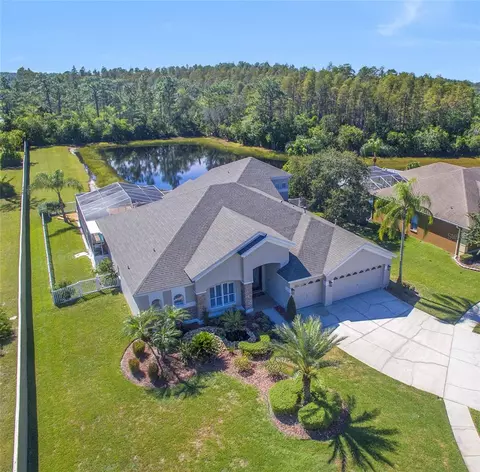 4602 Kilcoyne Ct, Lutz, FL 33558