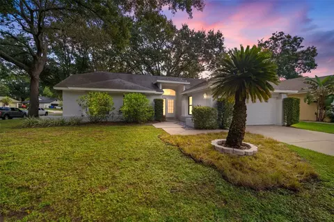 1710 Tallowtree Cir, Valrico, FL 33594