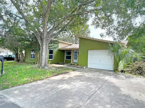 10106 Benbrook Ct, Tampa, FL 33615