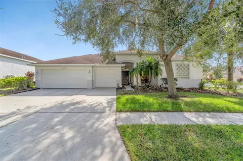 17009 Falconridge Rd, Lithia, FL 33547