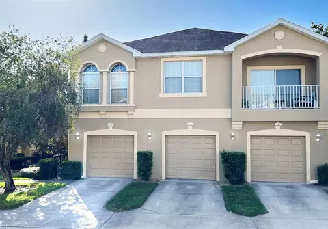 9008 Moonlit Meadows Loop, Riverview, FL 33578