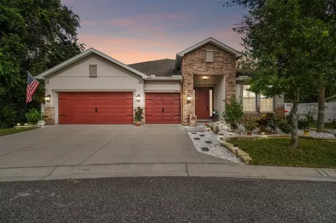 6456 Doe Path Ct, Wesley Chapel, FL 33545