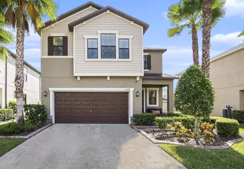 1674 Ludington Ave, Wesley Chapel, FL 33543
