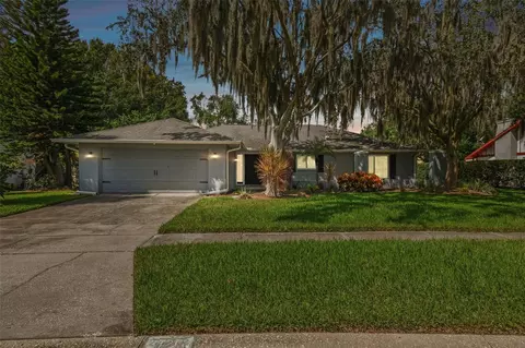 3723 Monarch Dr, Tampa, FL 33618