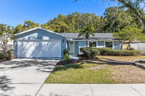 5310 Black Pine Dr, Tampa, FL 33624