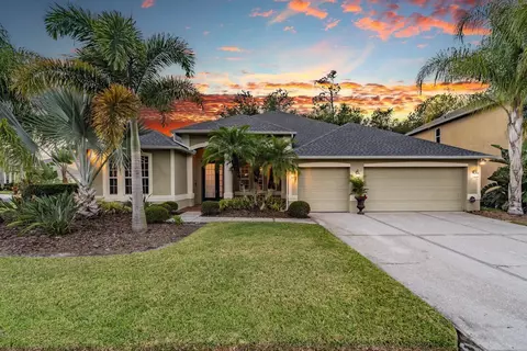 3353 Loggerhead Way, Wesley Chapel, FL 33544