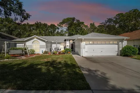 24219 Painter Dr, Land O Lakes, FL 34639