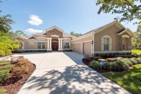 4304 Mahogany Wood Ct, Brandon, FL 33511