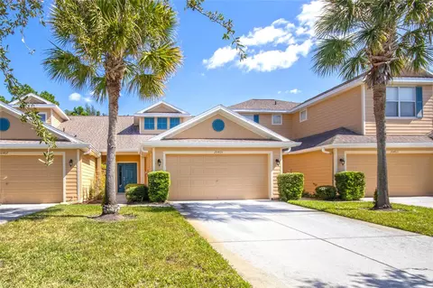 20405 Harvest Oak Ct, Tampa, FL 33647