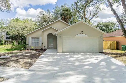 8725 Busch Oaks St, Tampa, FL 33617
