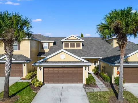 20230 Pond Apple Ln, Tampa, FL 33647