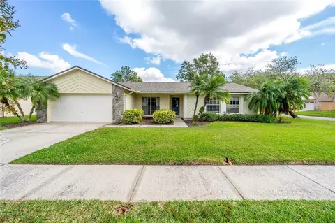 9801 Creek Cross St, Tampa, FL 33647