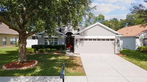 23803 Hastings Way, Land O Lakes, FL 34639