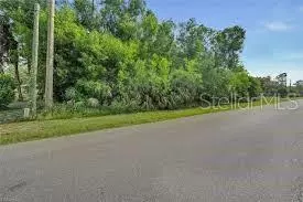 2120 N Dover Rd, Dover, FL 33527 photo 1