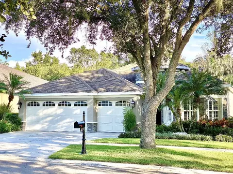 11113 Bridgecreek Dr, Riverview, FL 33569