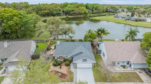 2023 Shadow Pine Dr, Brandon, FL 33511