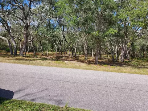 14727 Harmon Dr, Spring Hill, FL 34610 photo 1