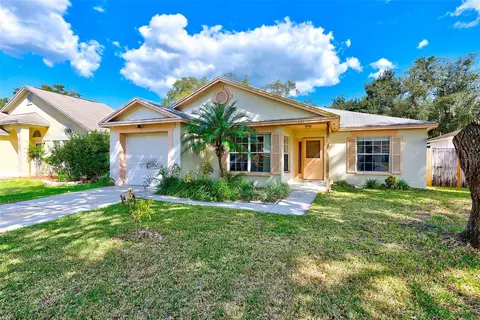 317 Benson St, Valrico, FL 33594
