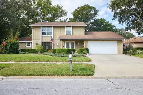 3011 Taragrove Dr, Tampa, FL 33618