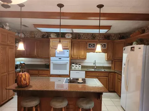411 Bryan Rd, Brandon, FL 33511 photo 14