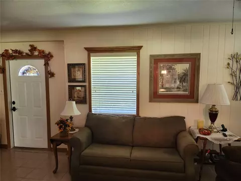 411 Bryan Rd, Brandon, FL 33511 photo 21