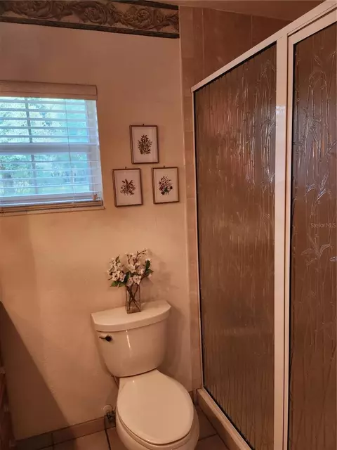 411 Bryan Rd, Brandon, FL 33511 photo 29