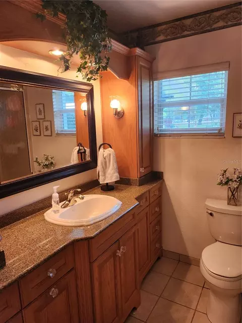 411 Bryan Rd, Brandon, FL 33511 photo 28