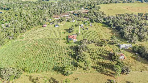 View/Area - 331 Lewis Rd, Lithia, FL 33547 photo 15 of 18
