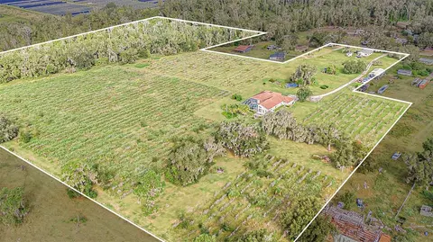 Other - 331 Lewis Rd, Lithia, FL 33547 photo 19 of 19