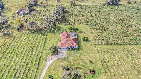 View/Area - 331 Lewis Rd, Lithia, FL 33547 photo 9 of 18