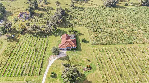 View/Area - 331 Lewis Rd, Lithia, FL 33547 photo 10 of 18