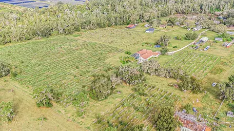 View/Area - 331 Lewis Rd, Lithia, FL 33547 photo 17 of 18