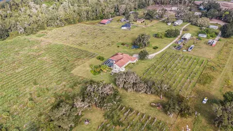 View/Area - 331 Lewis Rd, Lithia, FL 33547 photo 12 of 18