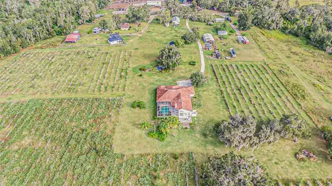 View/Area - 331 Lewis Rd, Lithia, FL 33547 photo 11 of 18