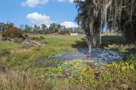 Exterior - 331 Lewis Rd, Lithia, FL 33547 photo 19 of 26