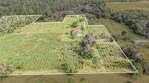 Other - 331 Lewis Rd, Lithia, FL 33547 photo 18 of 19